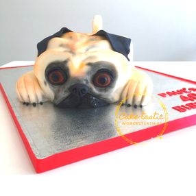 Pug Cake