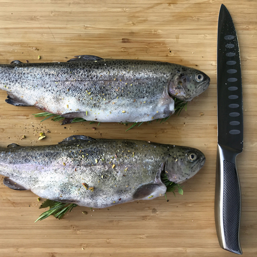 Calicamp trout