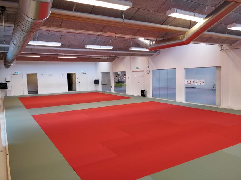 Dojo, sal2