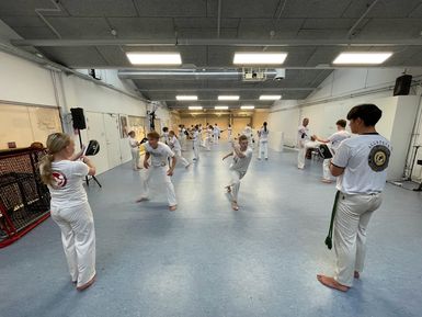Hvad er Capoeira?