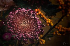 Magical nature (98 van 99)