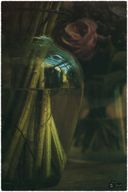 red (11 van 11)