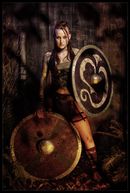 warriors (1)