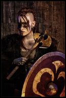 warriors (3)