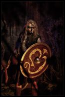 warriors (6)