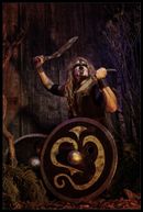 warriors (7)