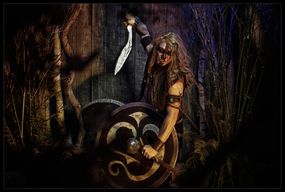 warriors (8)