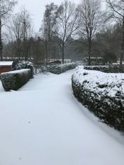 IMG_8789