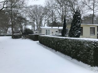 IMG_8790