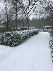 IMG_8792