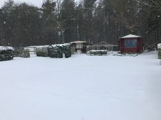 IMG_8796