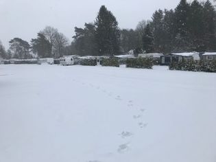 IMG_8797