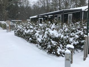 IMG_8798