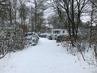 IMG_8800