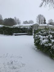 IMG_8805