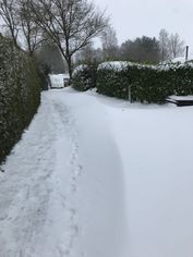 IMG_8806