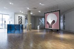Bild5
