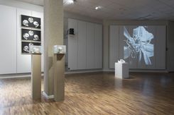 Bild6