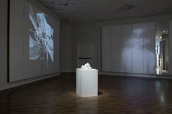 Bild9