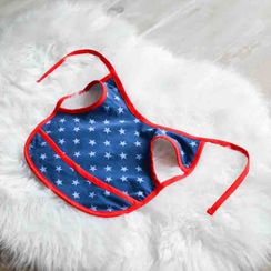 Birthday Cake Smash Bib
