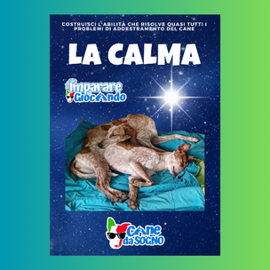 EBOOK "LA CALMA"