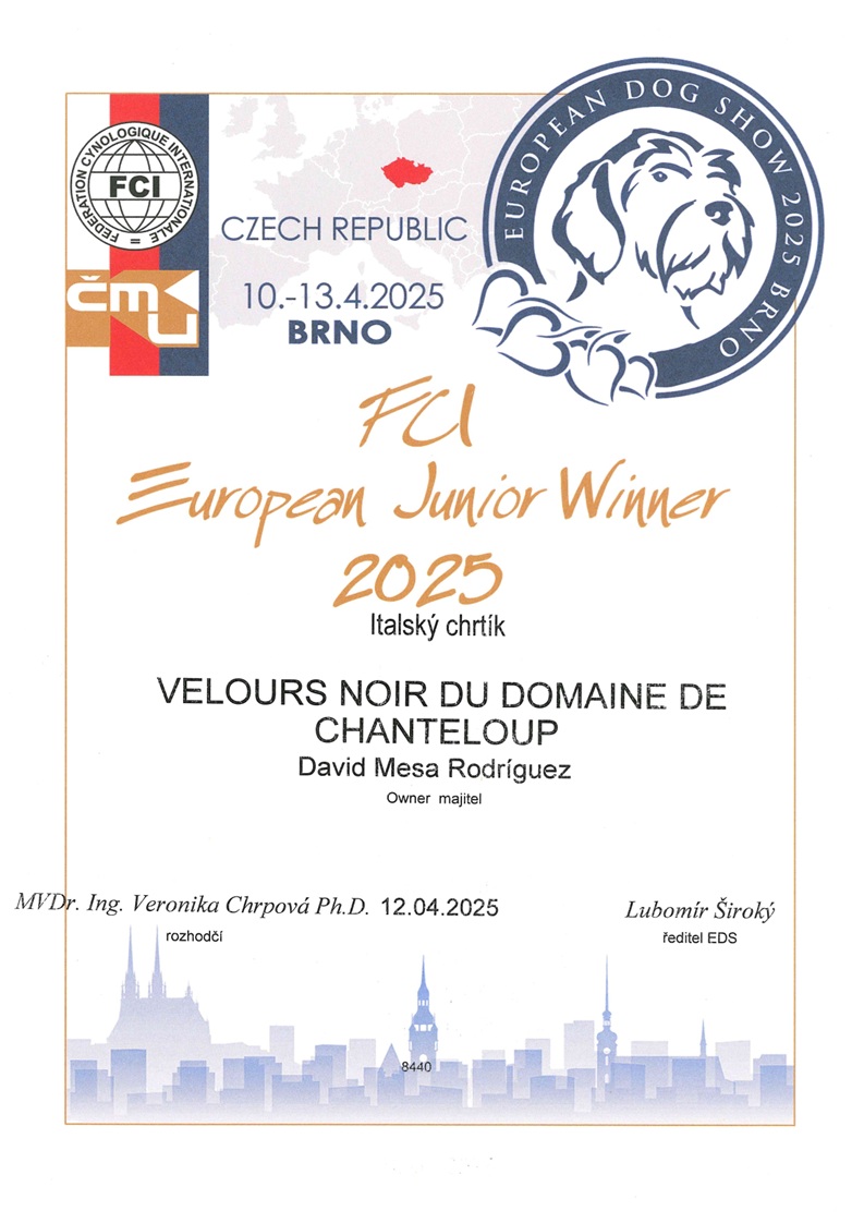 chj europa raphael