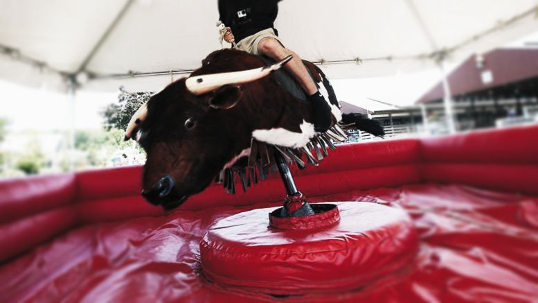 Mechanical-bull-2