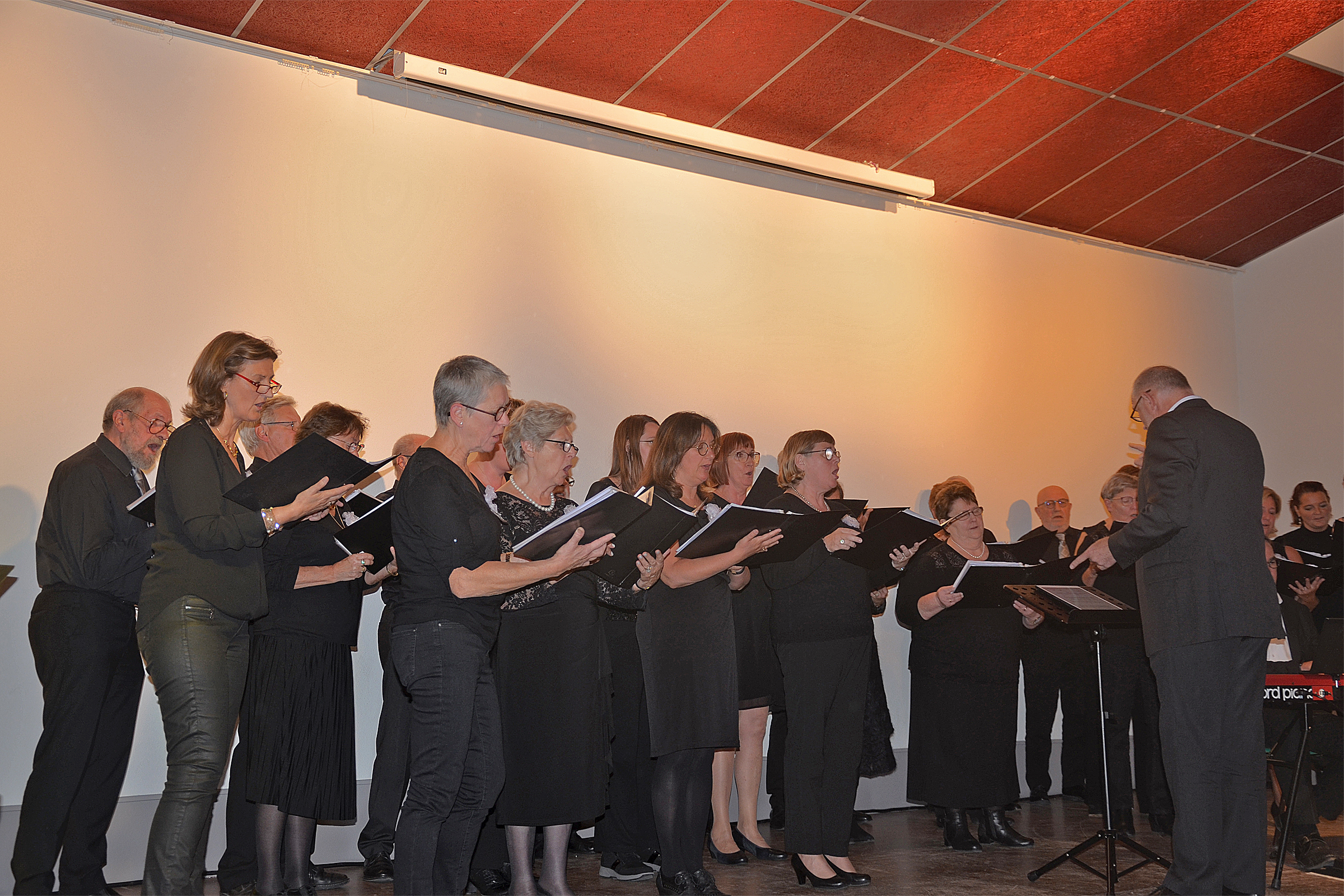 vilt 10