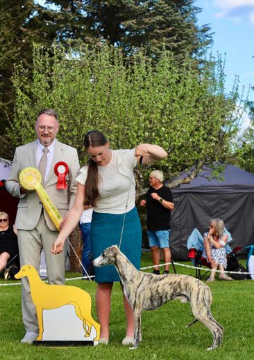 Best in Show 3 Junior 