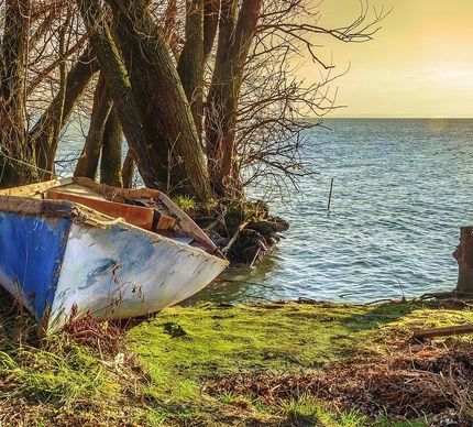 Balatonsjön. En insjös natur vid ett havsliknande vatten.