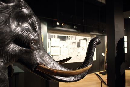 Musée Dali Paris.