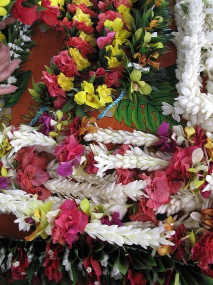Blommor i överflöd.