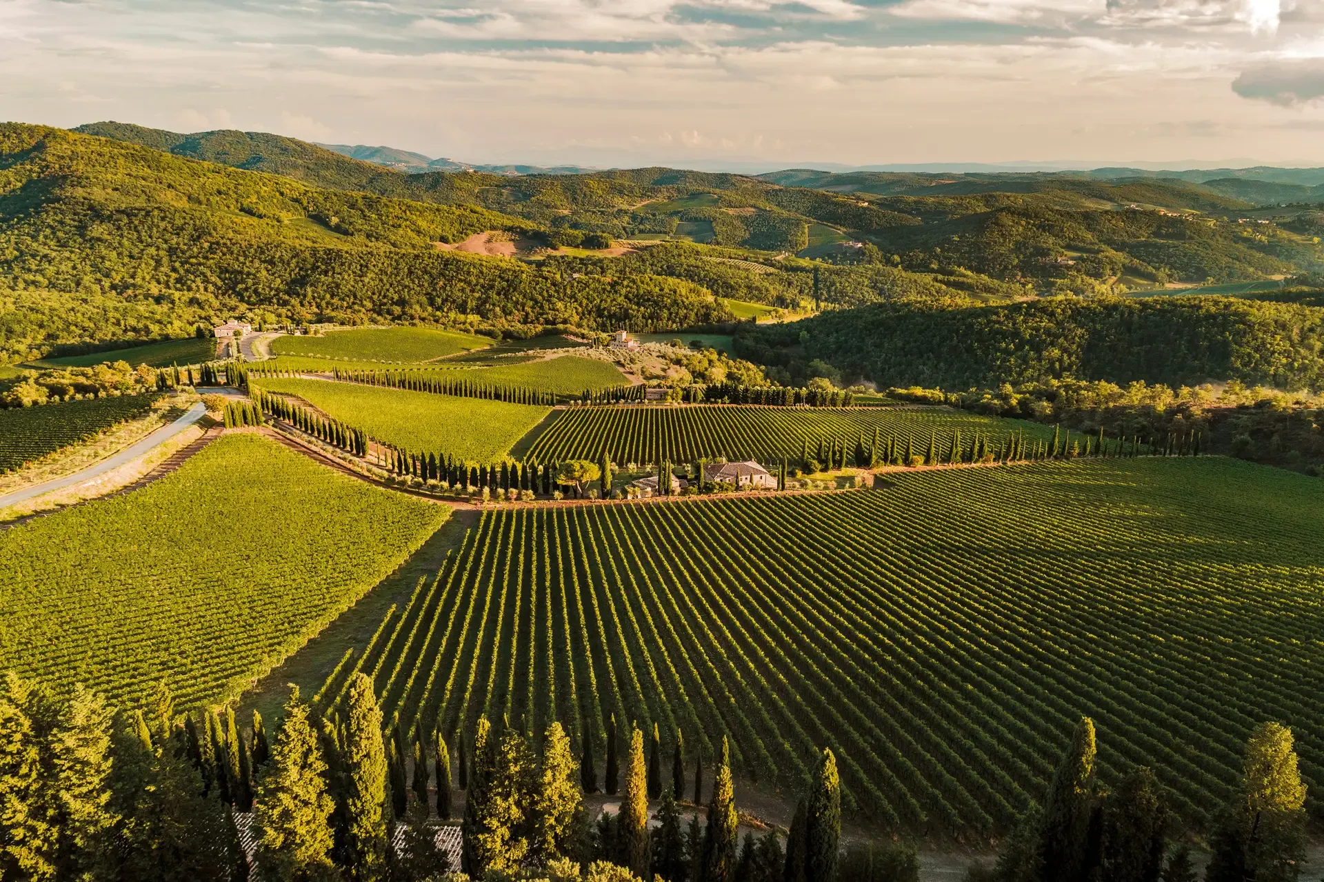 4-gangen lunch met wijnproeverij 