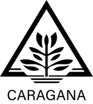 Caragana Bygg AB