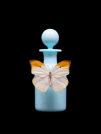 Cara-Louwman-Collecting-Memories-6