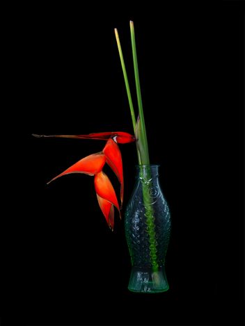 Cara-Louwman-Collecting-Memories-8a