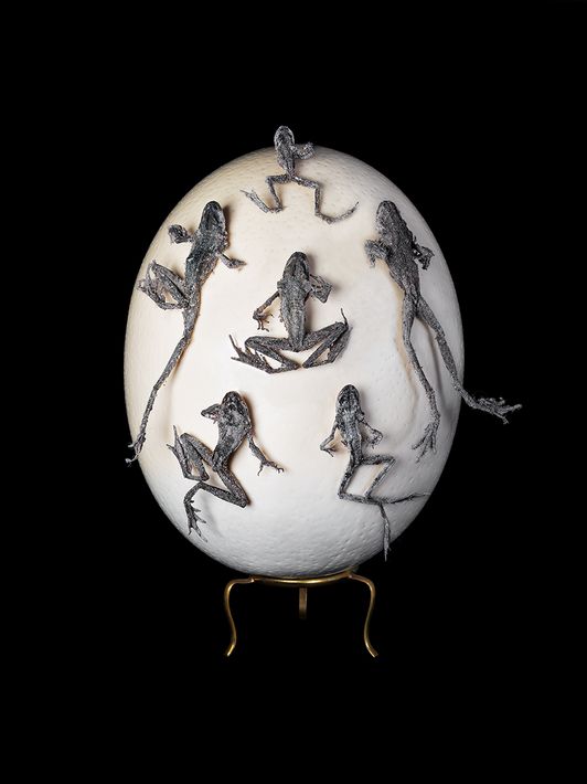 Cara-Louwman-Egg-Curiosities-1