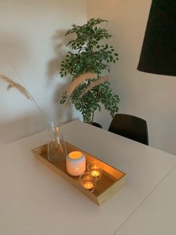 IMG_8431