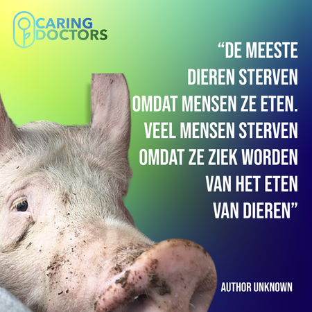 Caring Doctors dierwaardig