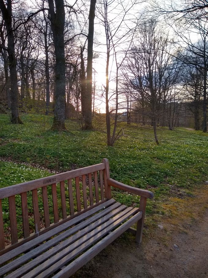 En Rastplats i Livet/Rest Area In Life/Lepo Alue Elämässä