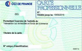carte agent immobilier