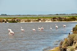 Gallerij Mar Menor (3)