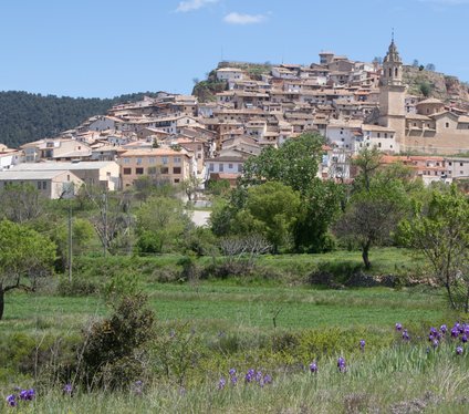 CASA RURAL EN PEÑARROYA DE TASTAVINS CASA RURAL EN PEÑARROYA DE TASTAVINS
