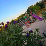 Swing Casa Cingoli