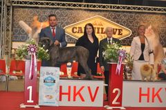 hkv2