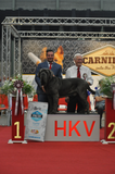 hkv3