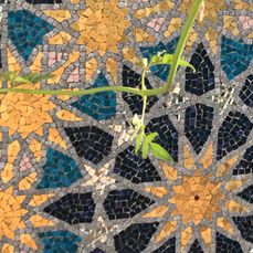 Mosaic Close Up