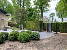 IMG_9986