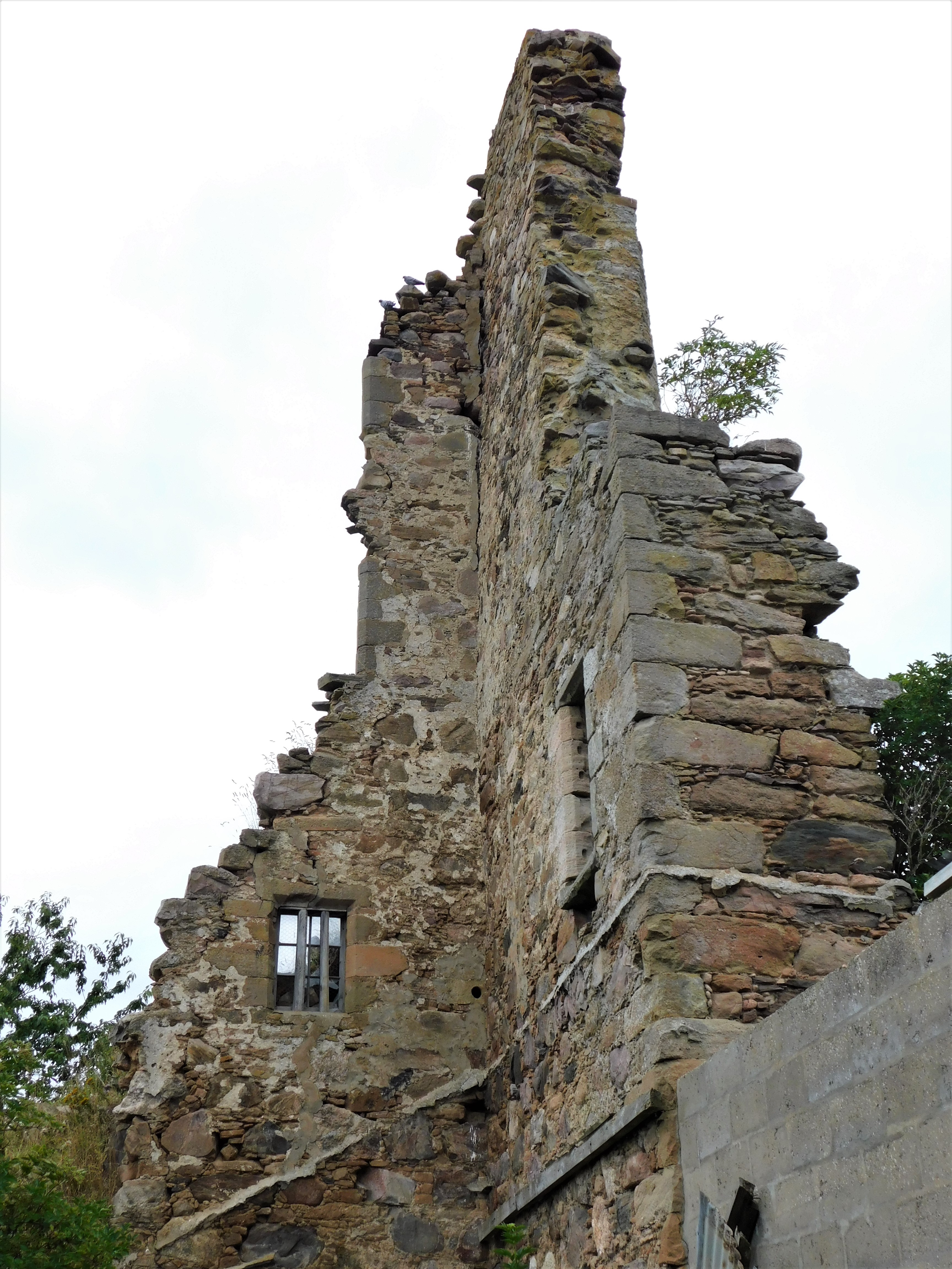 Blervie Castle (4)