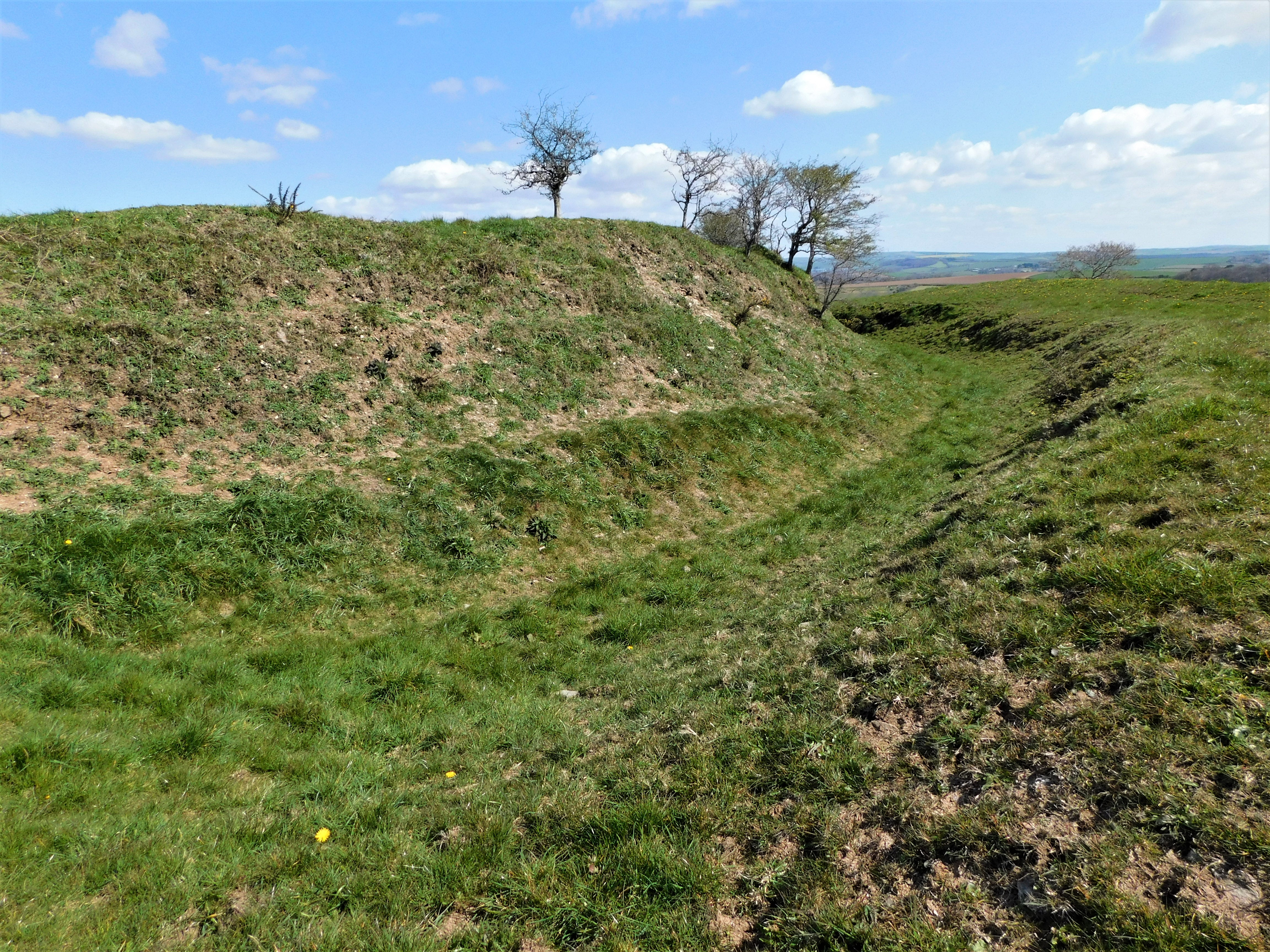 9.2 Castle Dore (17)